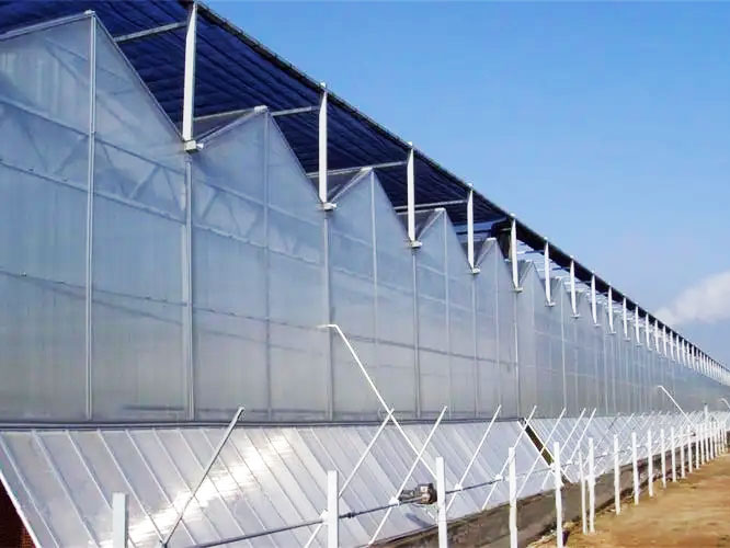 陽光板溫室